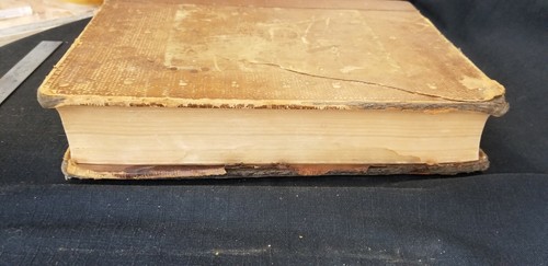 Antique 1894 The Century Cyclopedia of Names - Picture 4 of 10