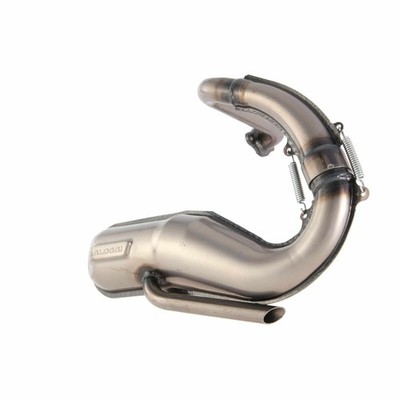 ''''MALOSSI M3214425 Schalldämpfer Racing ''''Power '' für Vespa V5A 50 1969-1972