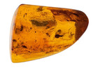 LARGE FLY INCLUSION GENUINE BALTIC AMBER FOSSIL 10.80G PREMIUM POLISHED SPECIMEN — photo 3