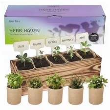 5 Herb Garden Kit with Wooden Box - Including Basil, Thyme, Seeds