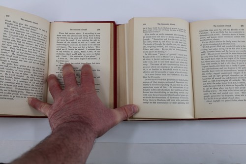 Author's Natnl Edition The Writings of Mark Twain Two Vols The Innocents Abroad - Picture 22 of 24