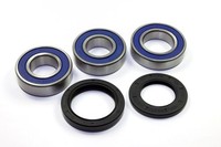 Radlager Satz 25-1111 Hinten FüR Kawasaki Z 1000 ZX-6 ZX-7 ZX-9 ZXR 750 ZZR 600