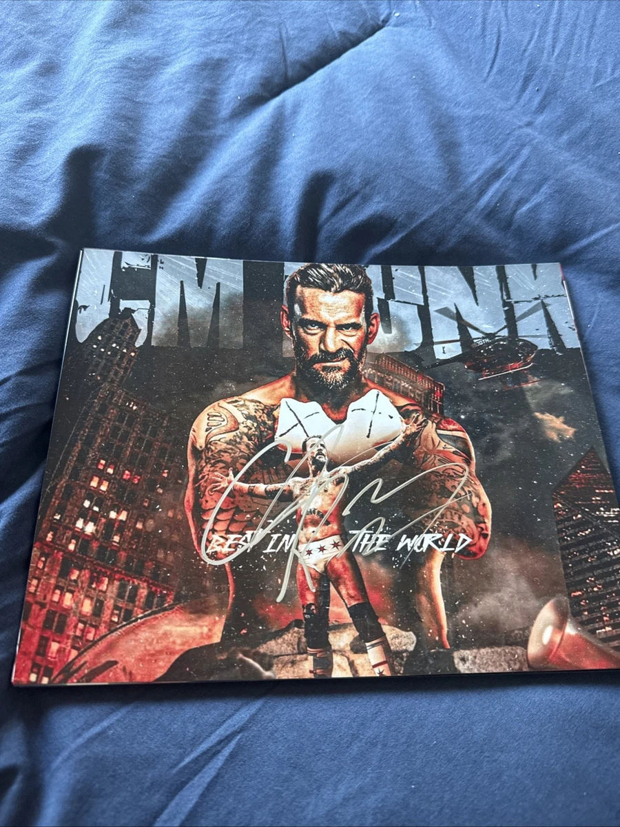 Preços baixos em CM Punk WWE LUTA LIVRE Fotos Original Autografada