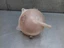 Bild 4 von 10