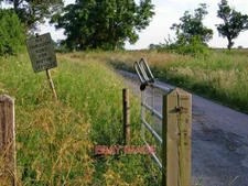 PHOTO  LANE TO CLIPSTON GRANGE LEADING OFF THE KELMARSH - SIBBERTOFT ROAD THIS W