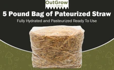 Pasteurized Wheat Straw Mushroom Substrate | 5 Pound Bag Ready To Use