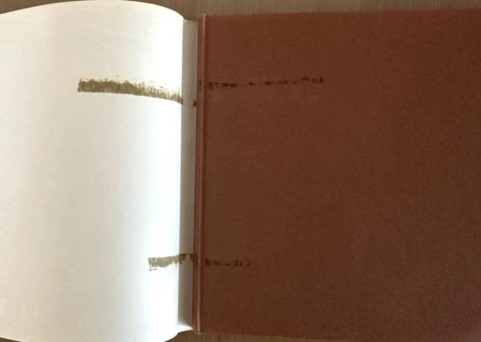 Picture 6 of 6