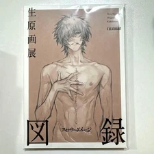 Slow Damage Original Art Exhibition Catalog Book Nitro + Chiral Japan Limited