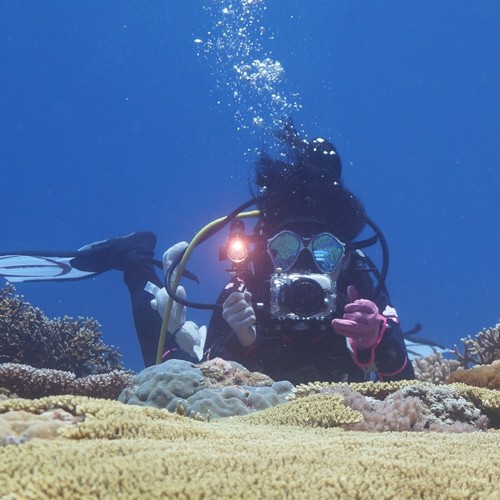 Estabilizador de bandeja de aleación de aluminio de manijas dobles para cámara de buceo submarina - Imagen 8 de 8