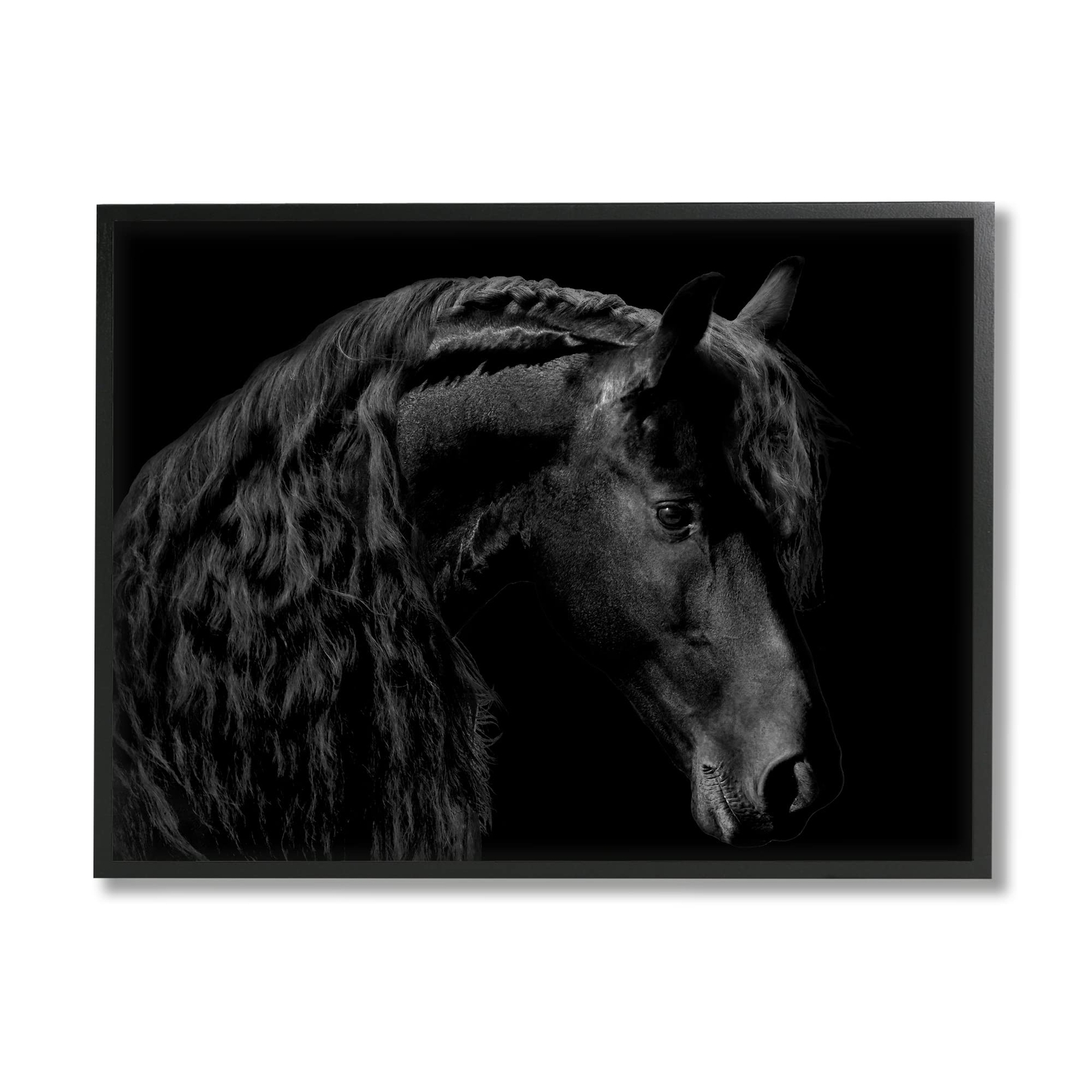 Black Stallion Portrait Braided Horse Mane Modern Photography Framed Wall Art...