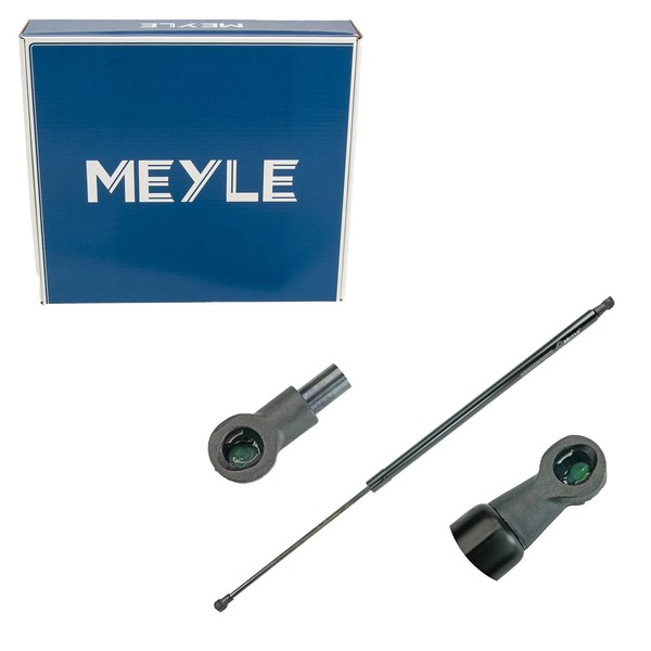 Meyle HeckklappendäMpfer FüR Renault Scenic Iii Grand Scenic Iii 904517337R-image