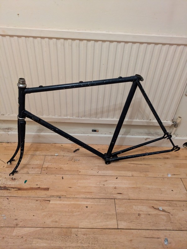 Vintage Raleigh Frame 54 cm and Forks