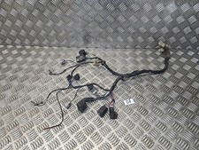 2001-2005 YAMAHA FJR1300 FRONT WIRING HANRESS LOOM