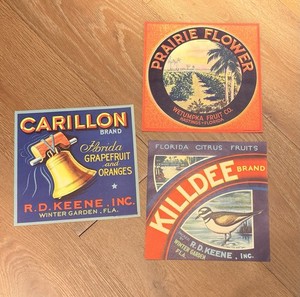 3 Antique Orange Crate Labels Central Florida Area- Excellent Condition