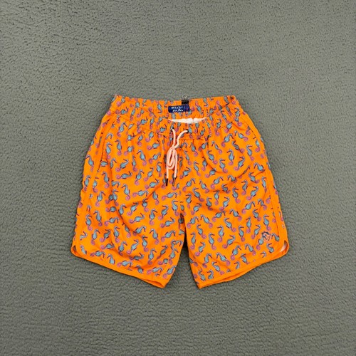 Mr. Swim Trunks Mens Medium Orange Seahorse Animal Print Lined Surf Beach Dad