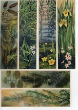 Bookmark Cards x 6 issued in the Netherlands