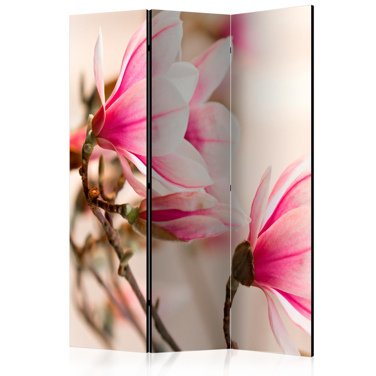 Paravent 3 volets Branch of Magnolia Tree 135x172cm en bois amovible