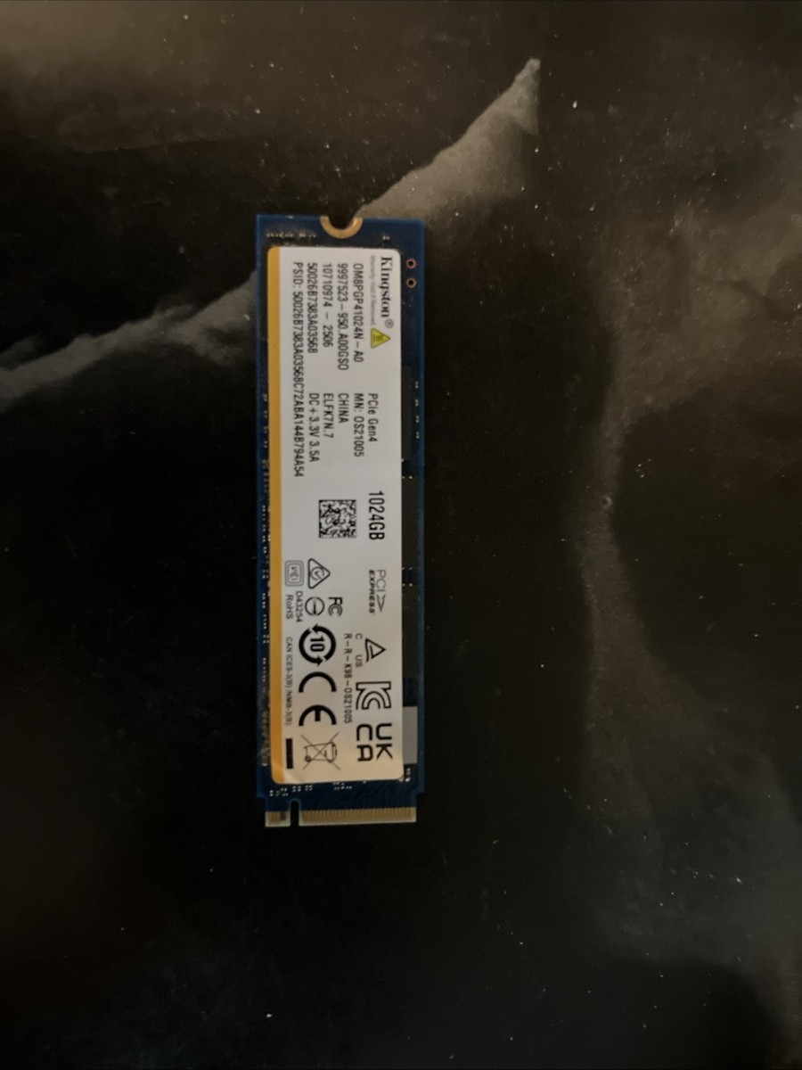 Kingston 1024GB M.2 SSD 【公式通販】