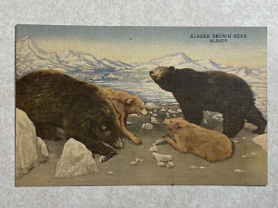 H1913 Postcard The House of Yesterday Hastings Museum NE Nebraska Brown Bear