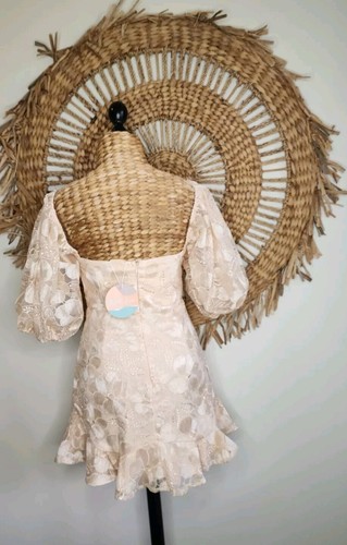 Saige + Paige Clarissa Lace Champagne Mini Puff Sleev Dress BNWT Size 12 Gypsy - Picture 5 of 11