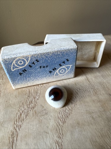 Vintage Prosthetic Brown Eye Glass Acrylic American Optical Original Box Oddity