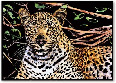 Magisches Rubbellos Mysteriöser Gepard 40x28 cm