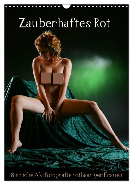 "Calendar 2027 · US Version · Enchanting Red (Wall Calendar 2027 12\" × 17\" Portra"-image