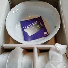 Hakusan pottery Japanese tableware set Hotaru Hoshika Made in Japan Japanese Cer
