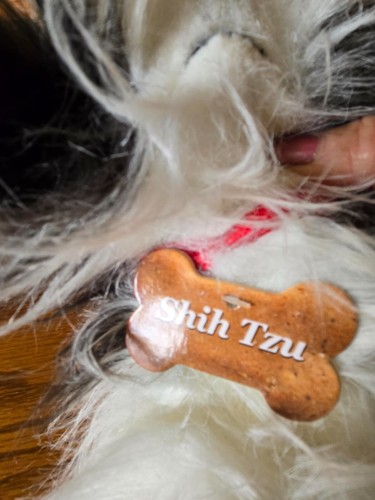 Peluche Gund Shih Tzu cucciolo rosso fiocco grigio bianco 10" peluche #13125 - Foto 5 di 5