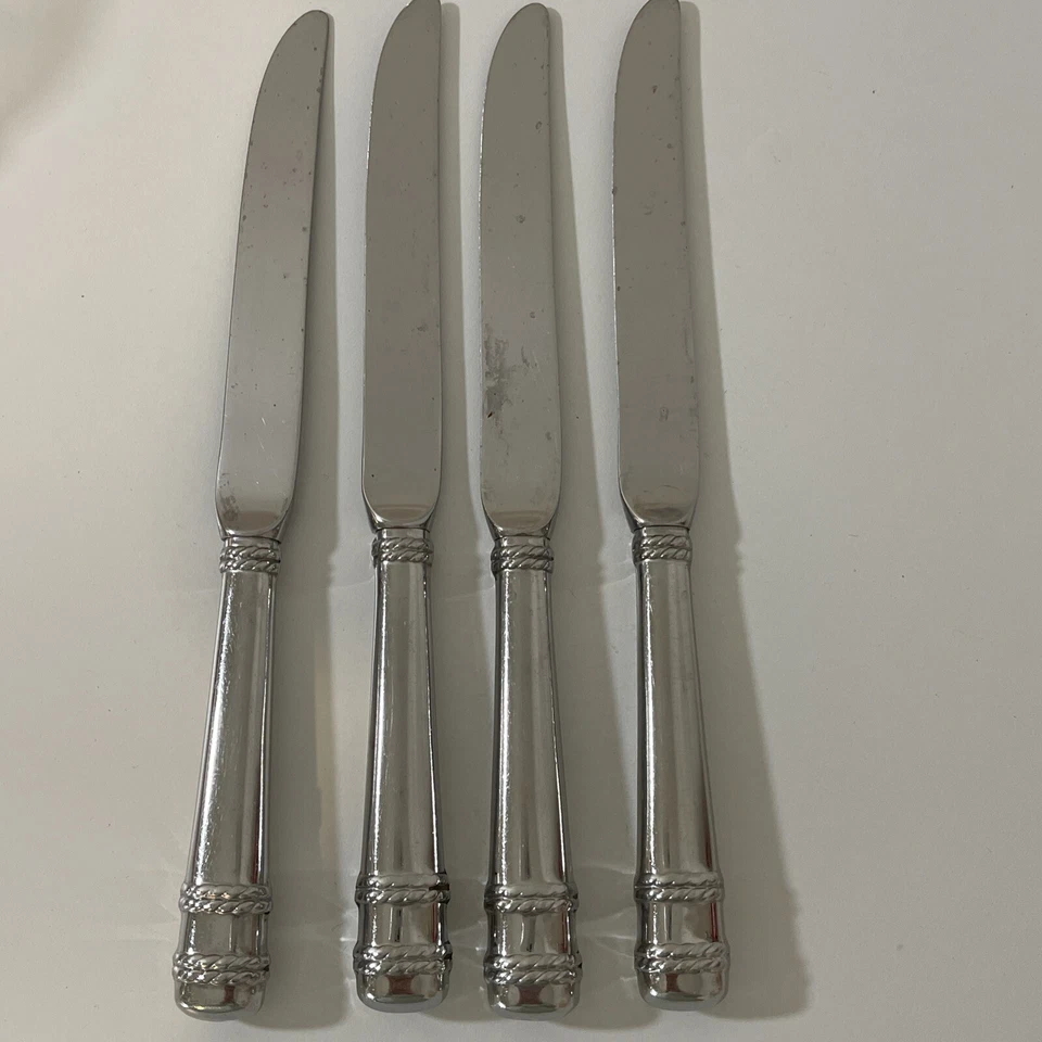 批量 4 件 Cipullo 适用于 Mikasa AMORE 不锈钢中空晚餐刀 #2 — 第 4/4 张图片