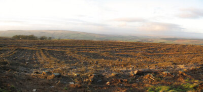 Photo 6x4 Fourlaws Forest Ridsdale Clear-felling at Fourlaws in 2007 has  c2008