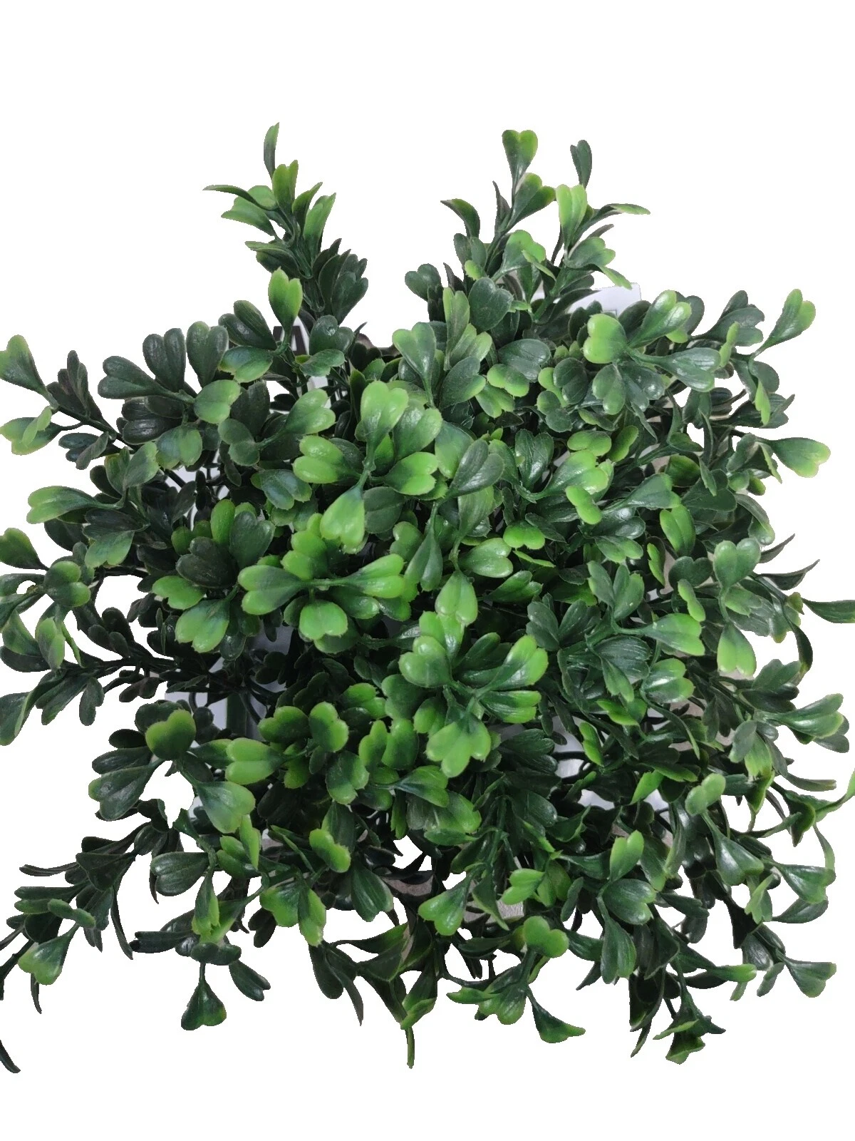 Hagen All Water Types Aquarium Plastic Plants