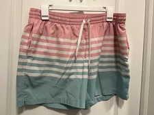 Chubbies Men's Swim Trunks Pink, Teal And Cream Stripes Size Medium