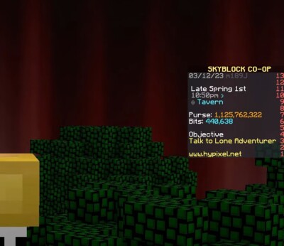 Hypixel Skyblock 10 Million Coins = 2,00  