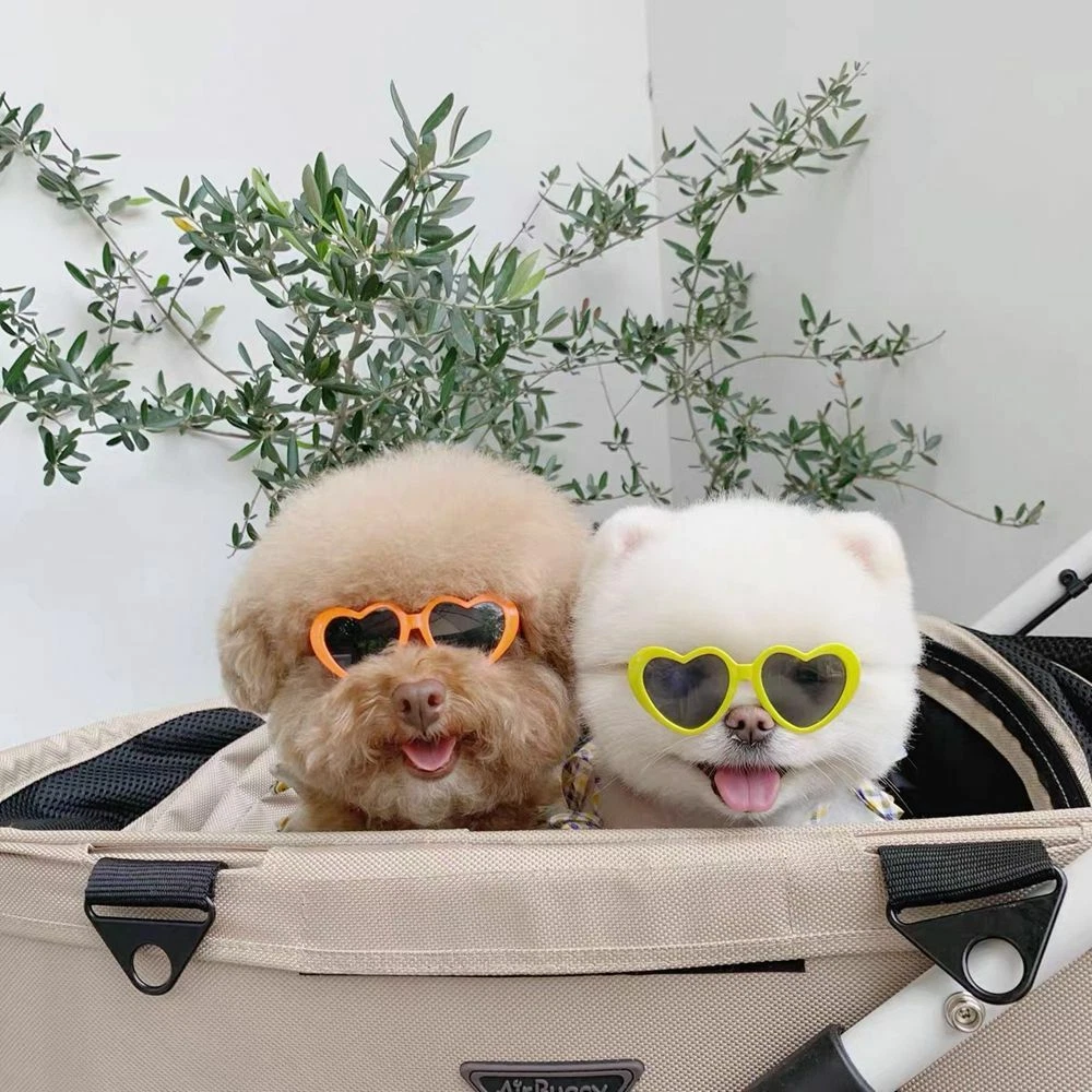 Best sunglasses for dogs sale