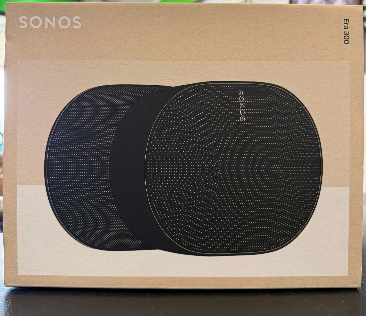 Sonos Era 300 Wireless Smart Speaker - Black (E30G1US1BLK) for
