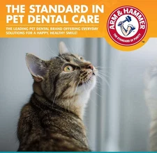 Arm & Hammer for Pets Dental Kit for Cats | Eliminates Bad Breath | 3 Piece Set