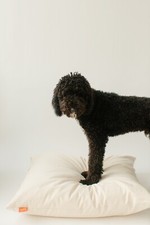 Organic Woffle  dog bed made with safe, natural Kapok cotton washable Sz SMALL