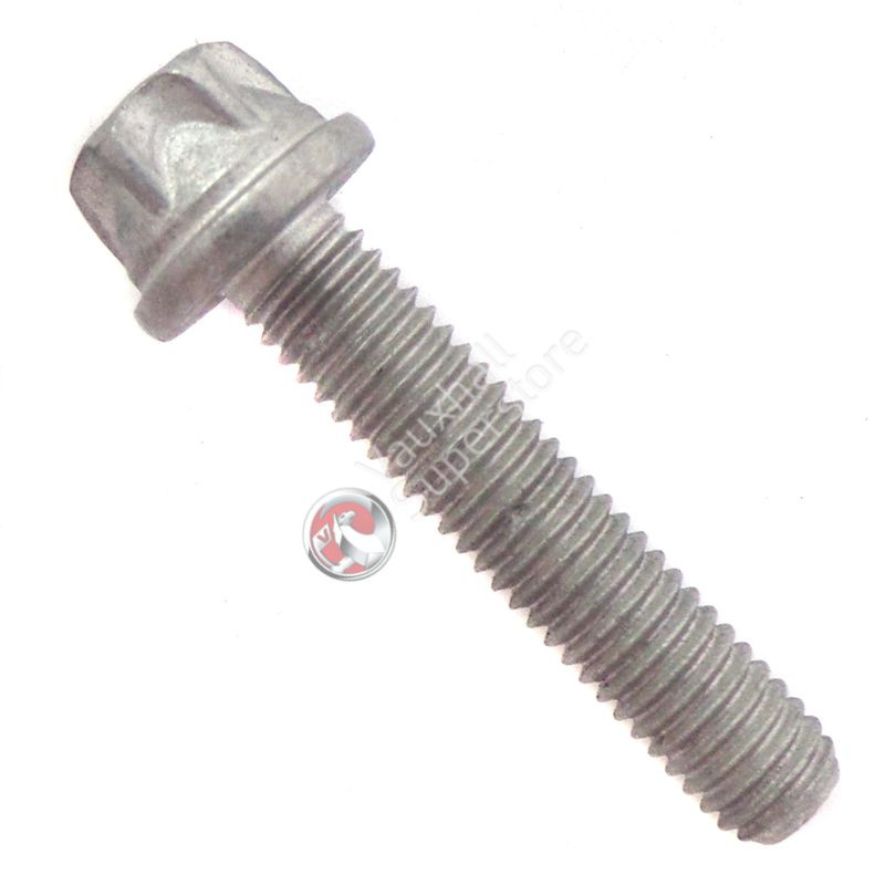 VAUXHALL SREW TORX - GENUINE NEW - 11098761 | eBay