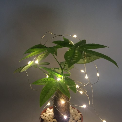 2 Pack 50 Count Mini Led Fairy Lightsbattery Operated String Light With Waterpro - Picture 2 of 6