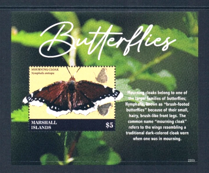 $30.00 Scott Value - 2022 MARSHALL ISL Butterflies 2 s/s Pacific CV MNH NH UMM - Image 4 of 4