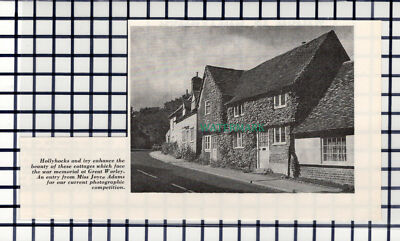 C6644) Great Warley Essex - um 1964 Steckling