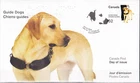W CANADA 2266 FDC2 GUIDE DOGS FIRST DAY COVER