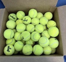 250 Recycled Tennis Balls  Excellent For Dogs, Practice, And Games 