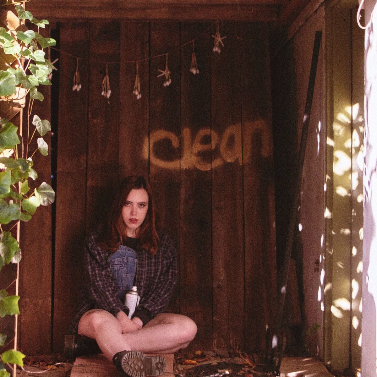Soccer Mommy Clean (Vinyl LP) 12" Album