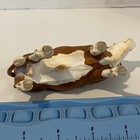 Picture 9 of 9
