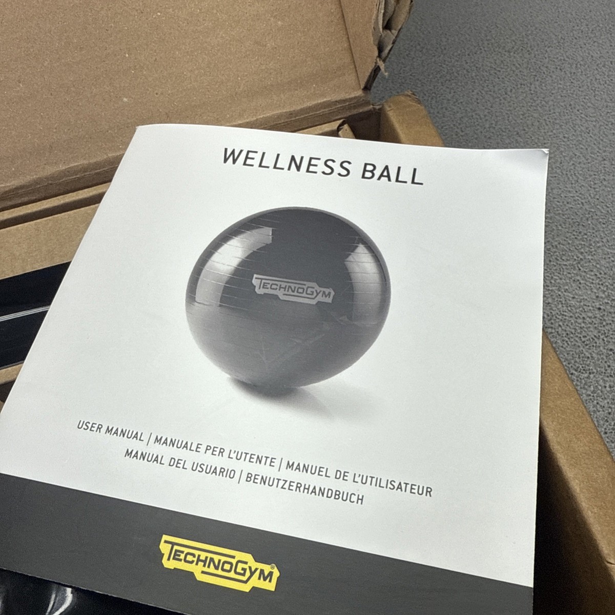 エクササイズグッズ Technogym WELLNESS BALL 55cm テクノジム アクティブシッティング バランスボールチェア 55cm