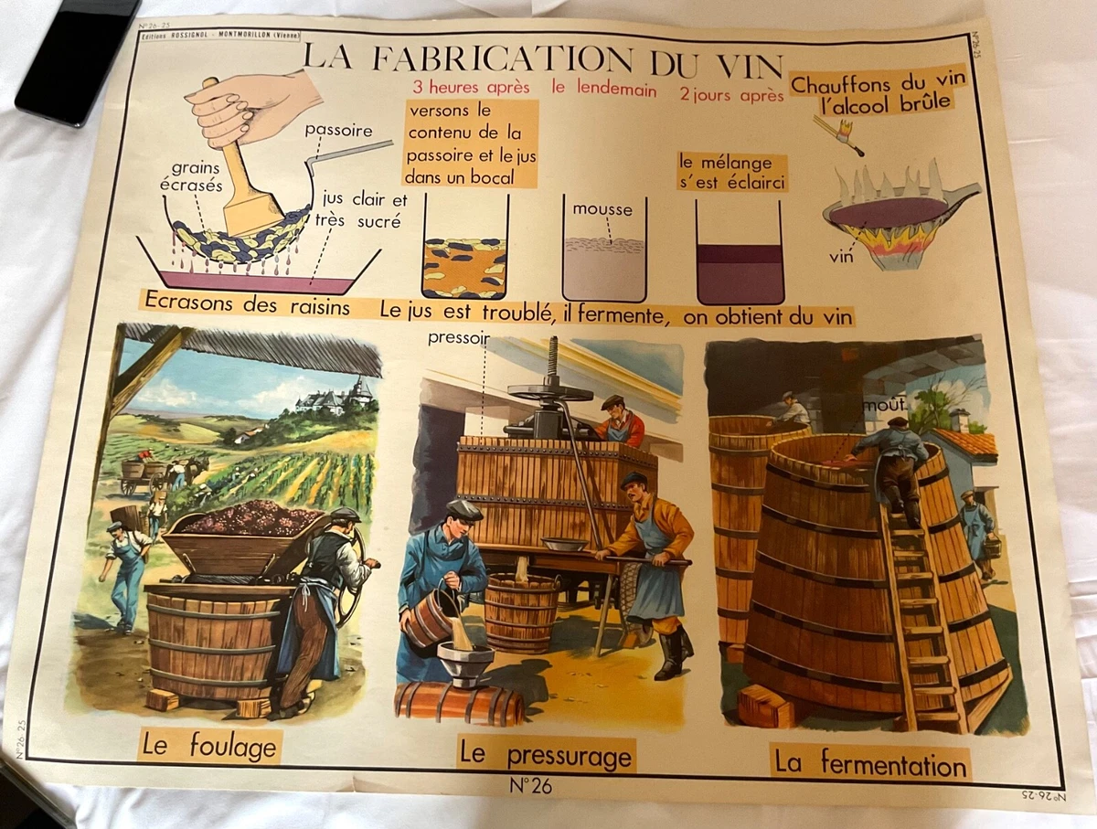 Affiche Scolaire Ancienne – Type Pédagogique – Occasion