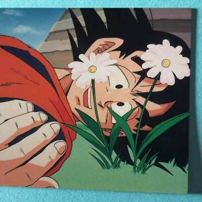 Goku N-56 DRAGON BALL Z CARDDASS 2003 AMADADBZ Toriyama Akira