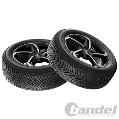 2x BF Goodrich Advantage All Season XL 225/55 R16 99W Ganzjahresreifen CC